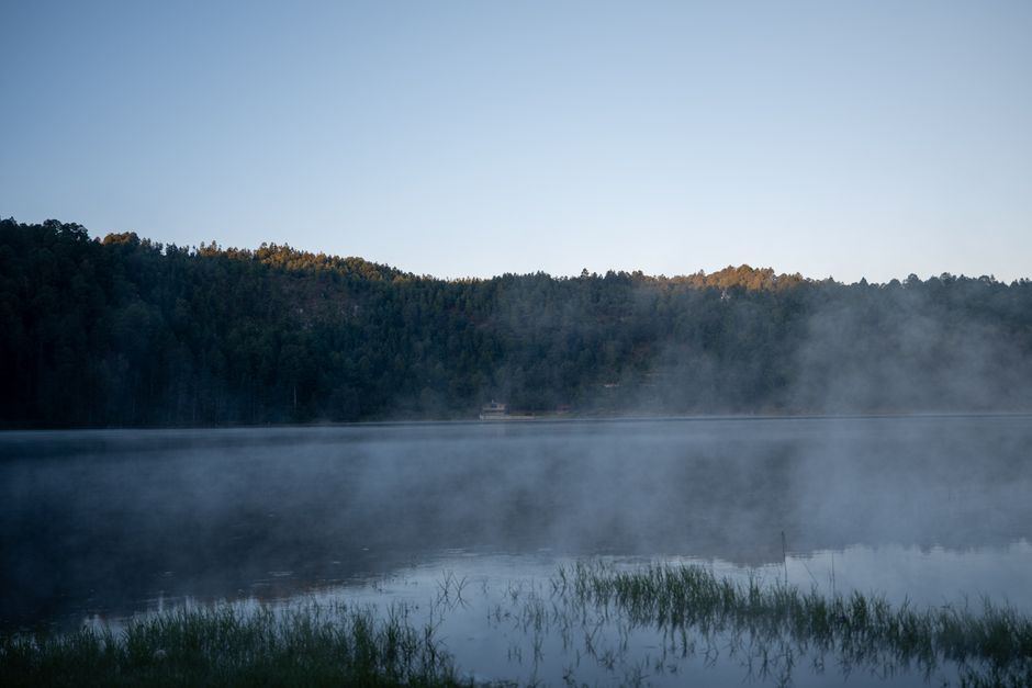 Lago con neblina matinal rodeado de bosque de pino bajo un cielo azul pálido, sin personas