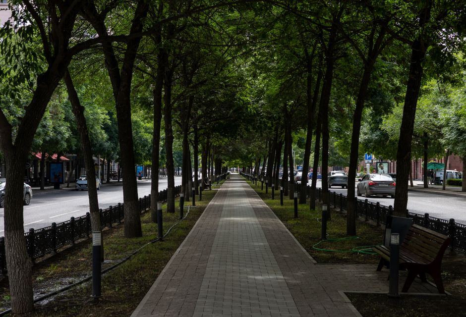 Andador arbolado junto a una avenida, con banca vacía y luz de mañana, sin personas