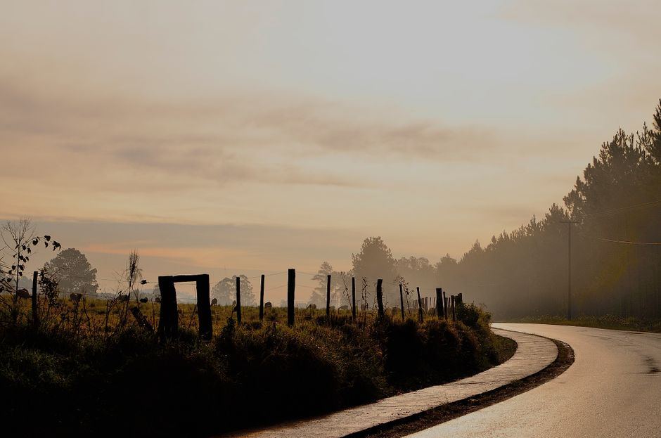 Camino de asfalto que se curva junto a un campo con cercas y árboles, con luz cálida de amanecer