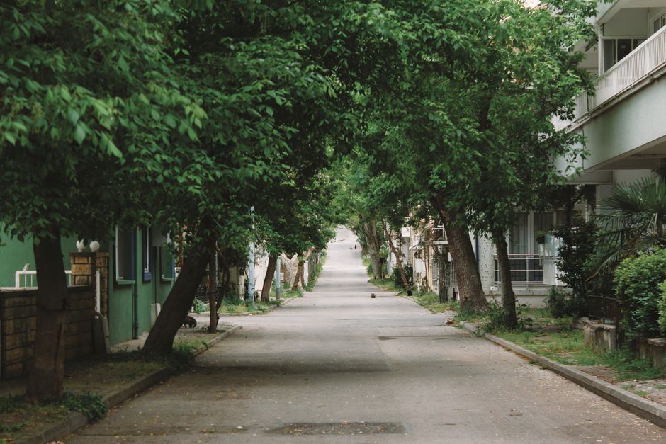 Calle tranquila con árboles frondosos a los lados y edificios de poca altura, sin personas