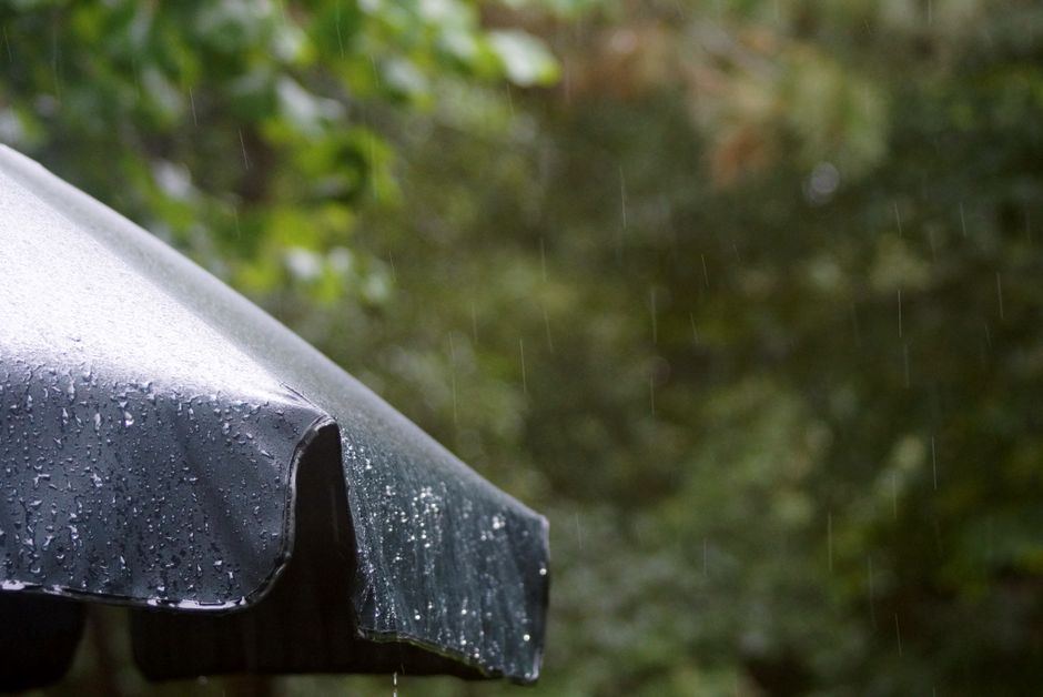 Gotas de lluvia sobre una sombrilla oscura, con árboles verdes desenfocados al fondo, sin personas